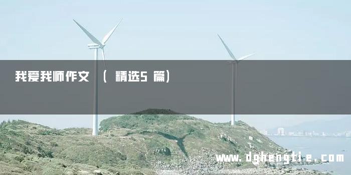 我爱我师作文 (精选5篇)